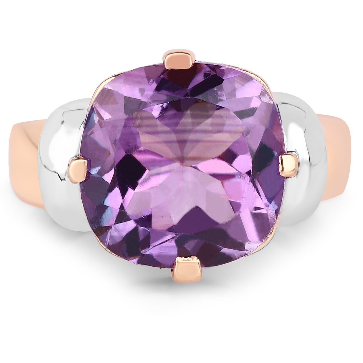 r4221a-rgp-view2-image